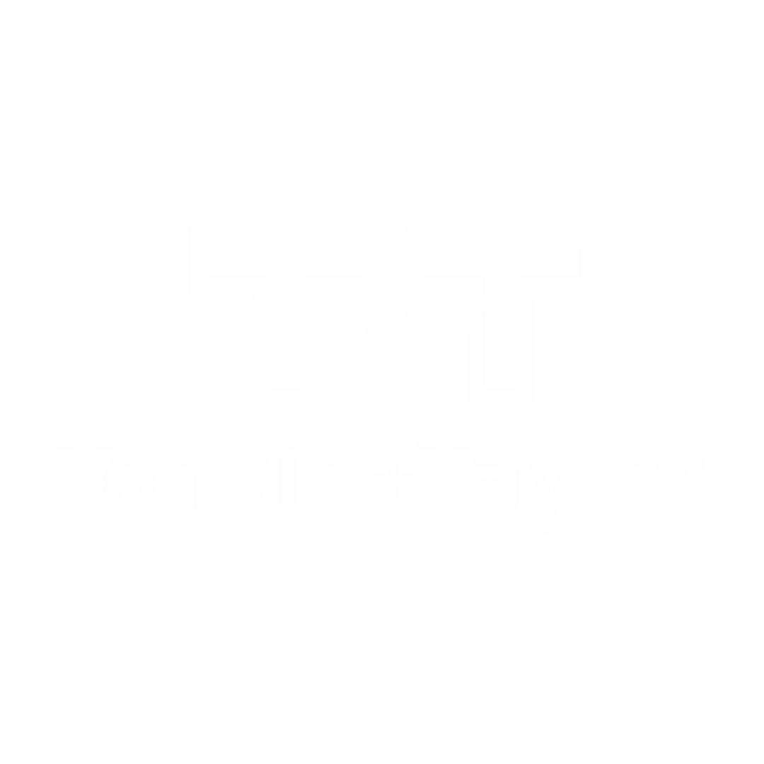 Tonkin + Taylor Business Logo